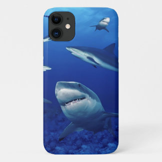 iPhone 11 Case-Sharks Case