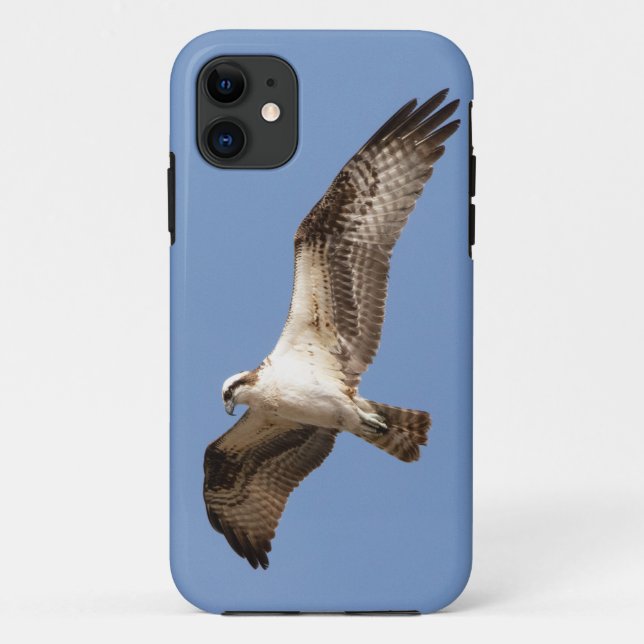 iPhone 11 case with osprey (Back)