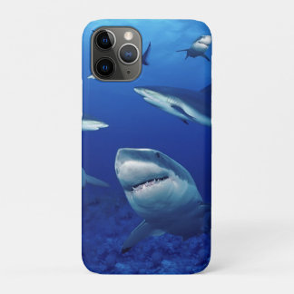 iPhone 11Pro Case-Sharks 11 Pro Case