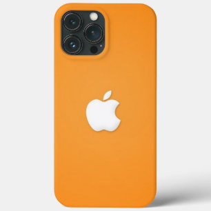 iPhone 13 Pro Max Case