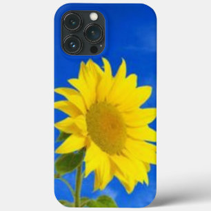 iPhone 13 pro max case