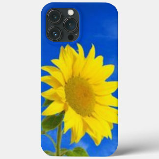 iPhone 13 pro max case