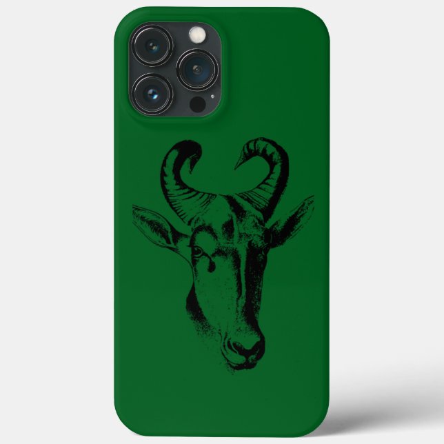 iPhone 13 pro max coque (Verso)