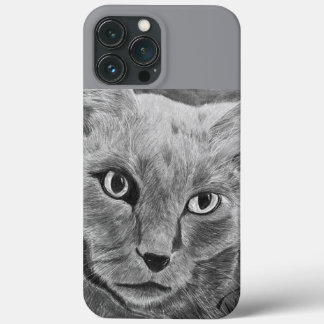 iPhone 13 pro max coque