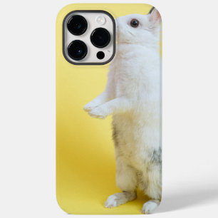 iphone 14 rabbit cases 