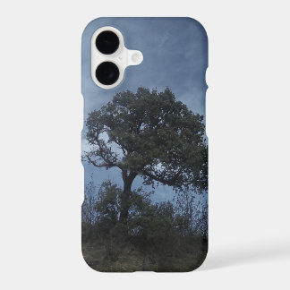 iPhone 17 case