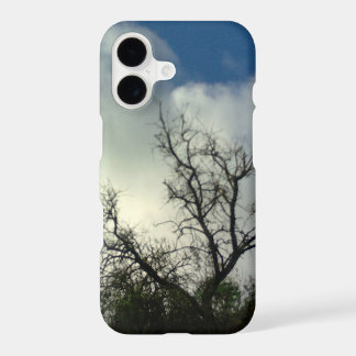 iPhone 17 case