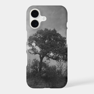 iPhone 17 case