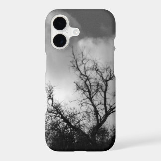 iPhone 17 case