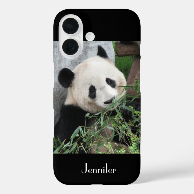 iPhone 5, 5S, SE Tough Xtreme Coque Giant Panda (Verso)