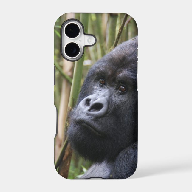 iphone 5 barely there qpc template ip - Customized (Back)