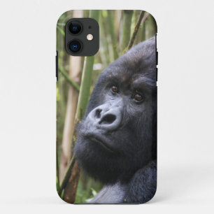 iphone 5 barely there qpc template ip - Customized 11 Case