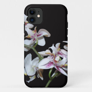 iPhone 5 Case