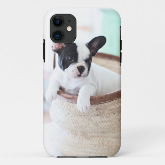 Iphone 5 case French bulldog