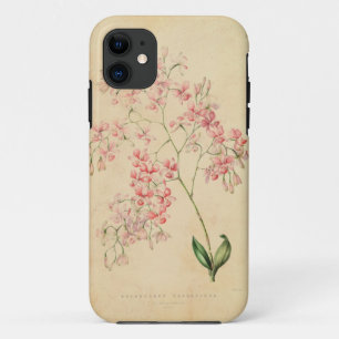 iPhone 5 Case - vintage orchid illustration