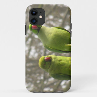 iPhone 5 case with curious parakeets