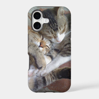 iPhone 5 case with kittens napping