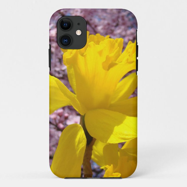 iPhone 5 cases Yellow Daffodils Spring skins (Back)