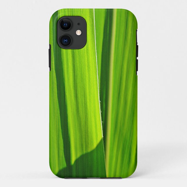 iPhone 5 Hülle grüne Maisblätter Case-Mate iPhone Case (Back)