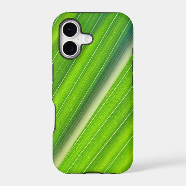 iPhone 5 Hülle hellgrünes Maisblattdesign (Back)