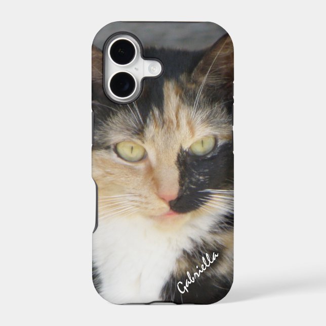 iPhone 5: Personalized Calico Kitty Case (Back)