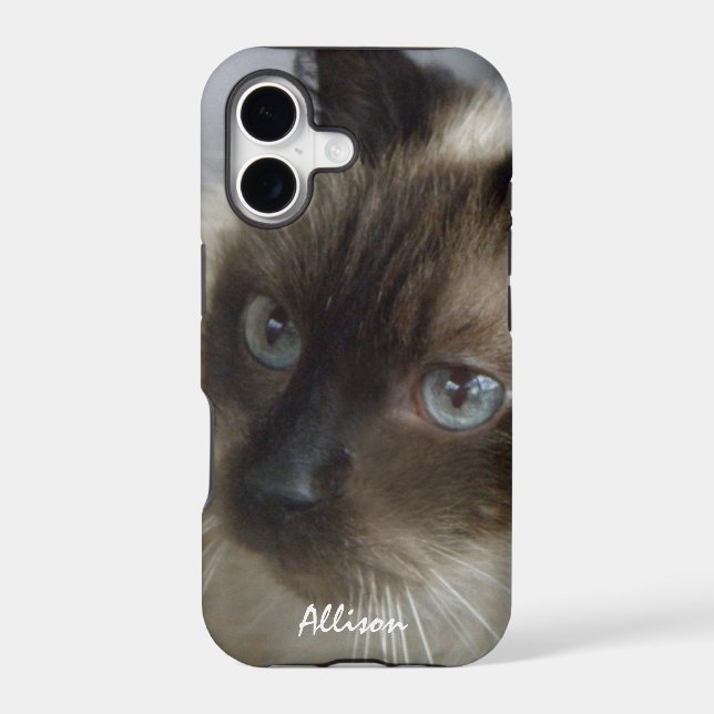 iPhone 5: Personalized Siamese Kitty Case (Back)