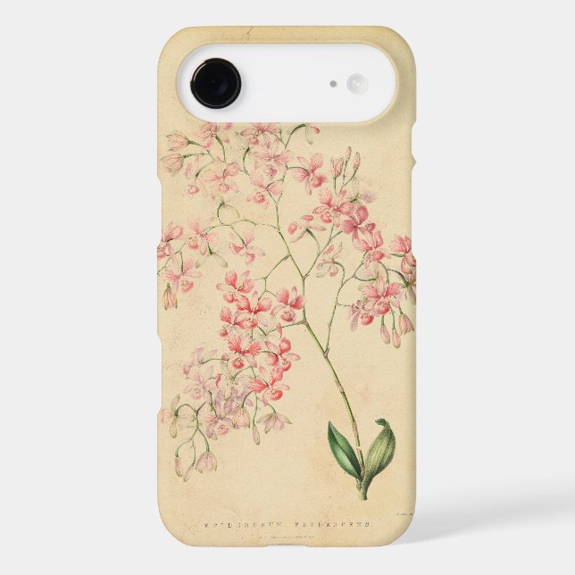 iPhone 6 case - vintage orchid illustration (Back)