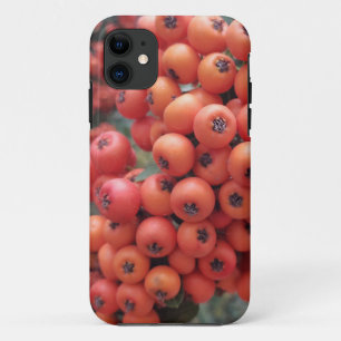 iPhone / coque ipad