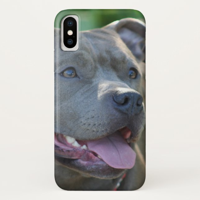 Iphone de chien de Pitbull x coque (Dos)