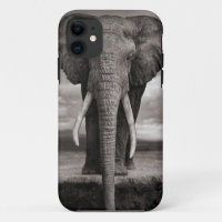 iphone, elephant