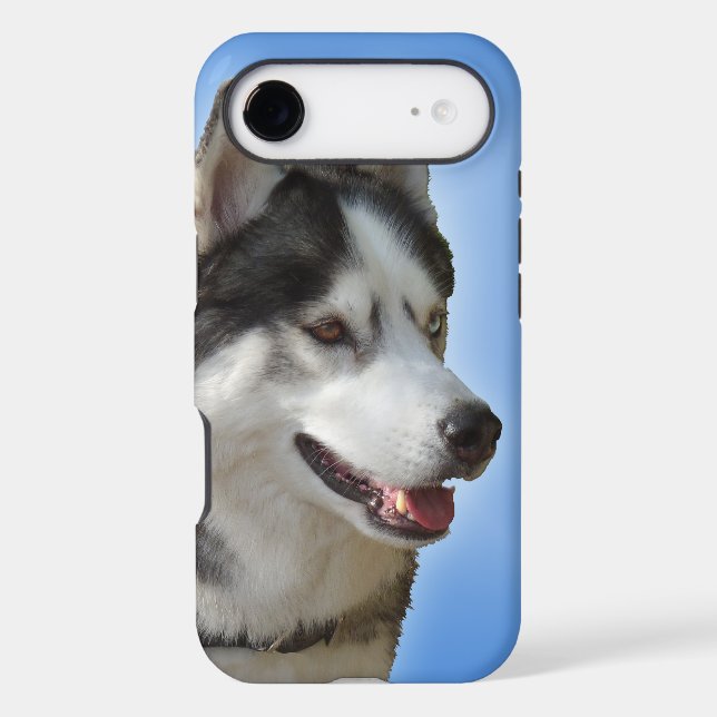 iPhone enroué 5 cas de Malamute de chien de (Verso)