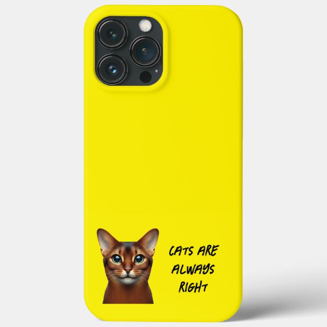 iPhone / iPad case (Back)