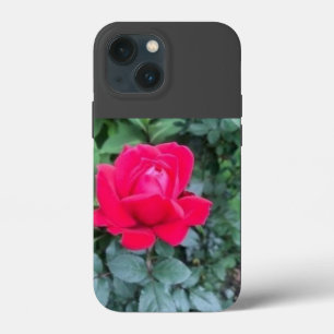 iPhone / iPad case