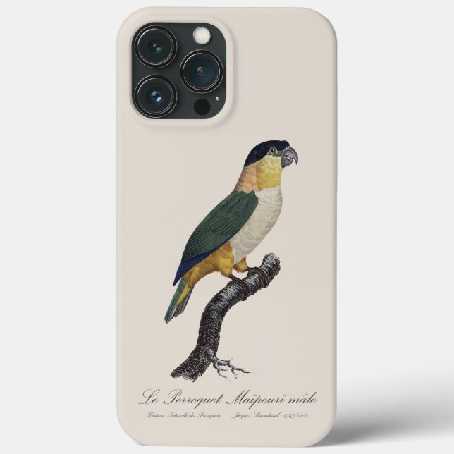 iPhone / iPad case (Back)