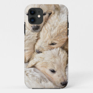 iPhone / iPad case