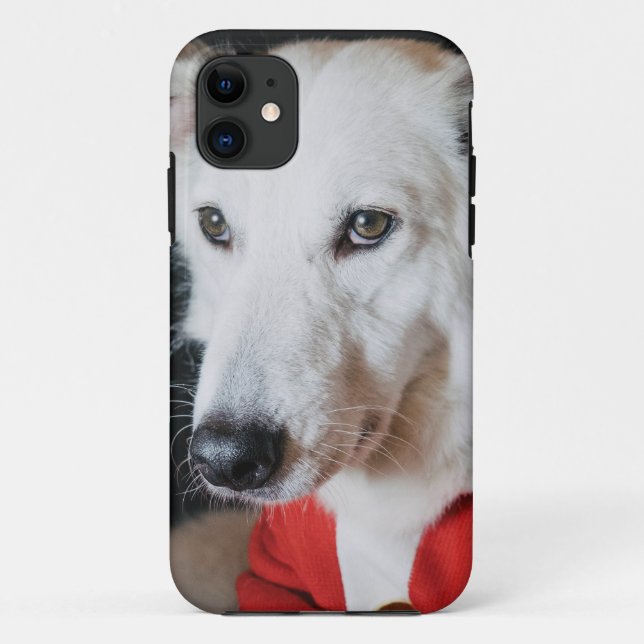 iPhone / iPad case (Back)