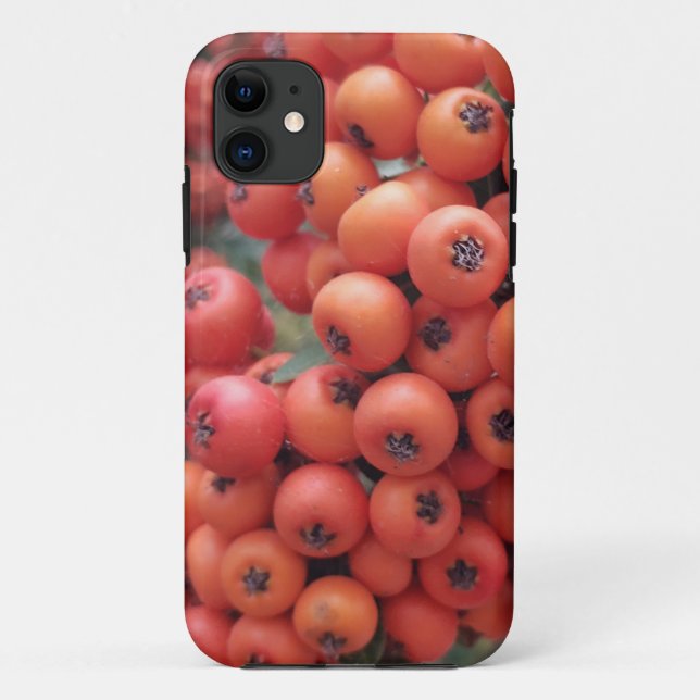 iPhone / iPad case (Back)