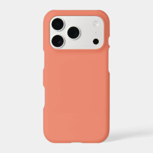 iPhone / iPad case