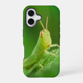 iPhone / iPad case