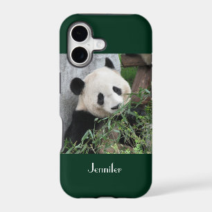 iPhone SE/5/5s Case Giant Panda Green Background