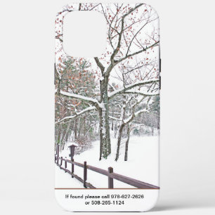 iPhone X case (10 phone)