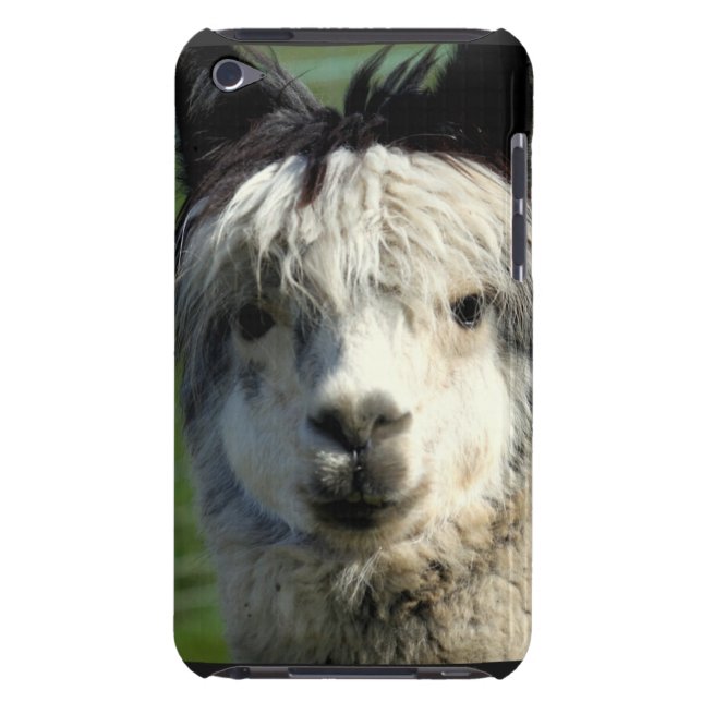 iPod Touch Case - Customized (Back)