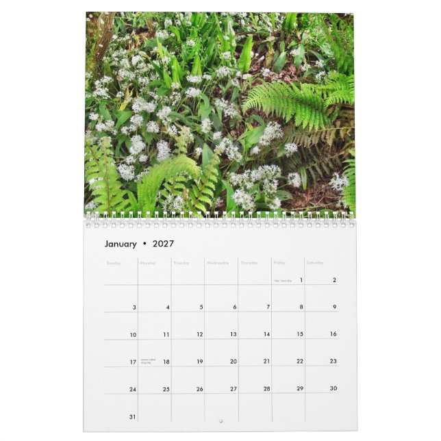 Ireland 40 Shades of Green Calendar (Jan 2027)