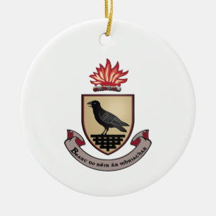 Ireland County Dublin Christmas Ornament