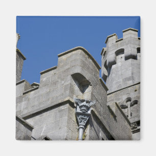 Ireland, County Kilkenny, medieval castle. Magnet