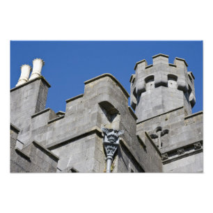Ireland, County Kilkenny, medieval castle. Photo Print
