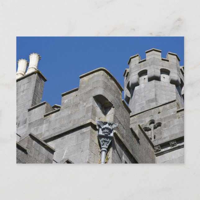 Ireland, County Kilkenny, medieval castle. Postcard (Front)