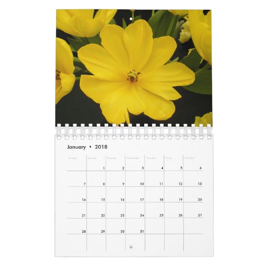 Ireland in Bloom 2010 Calendar