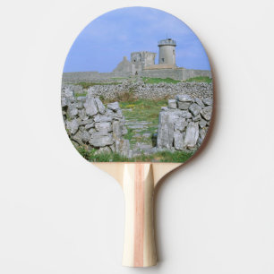 Ireland, Inishmore, Aran Island, Dun Aengus Fort Ping Pong Paddle