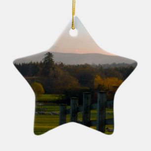 Ireland is Beautiful Ceramic Ornament